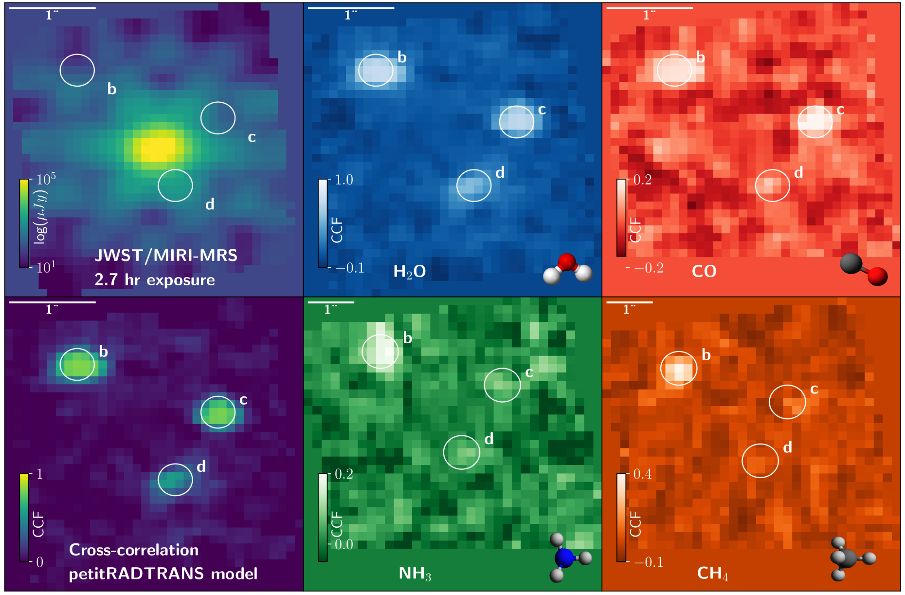 MRS molecular mapping